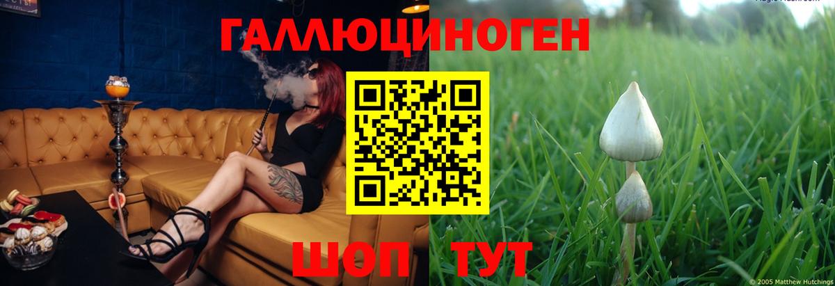 Галлюциногенные грибы мицелий Гусев