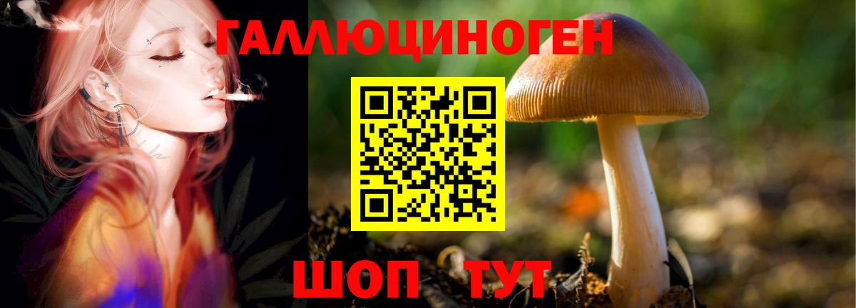 Галлюциногенные грибы Magic Shrooms  Вход с VPN  Гусев 